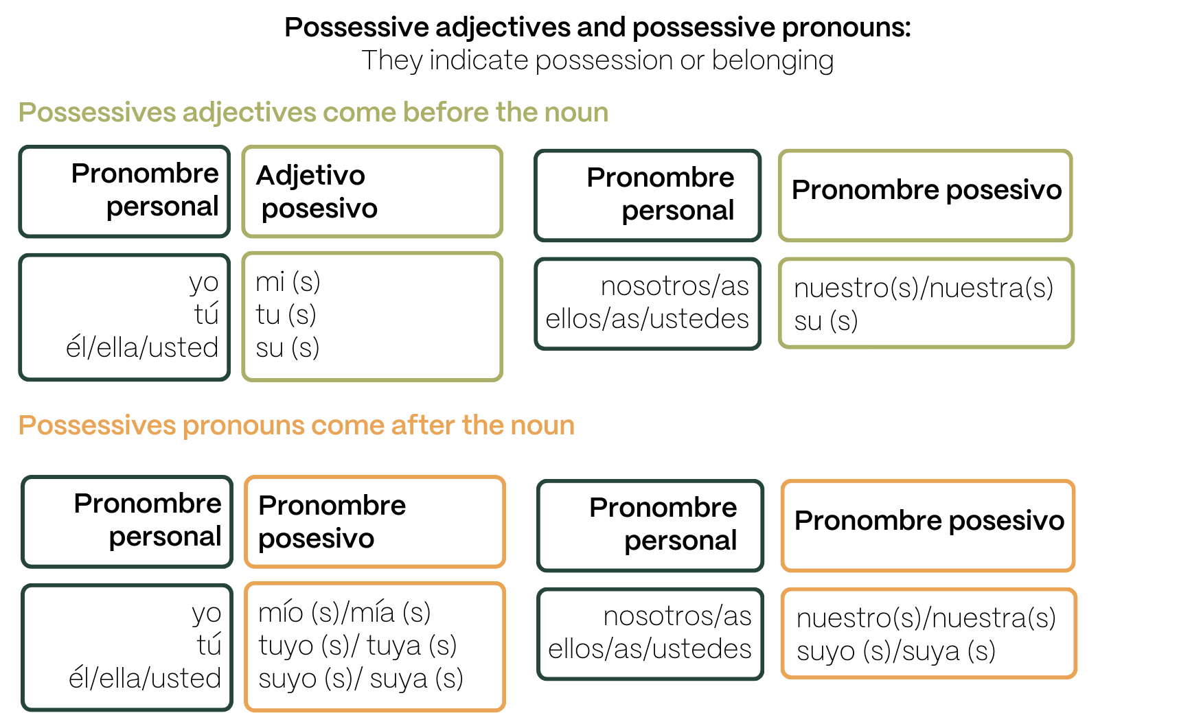 posesivos_ele