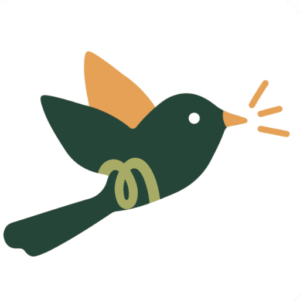 spanish learning journey