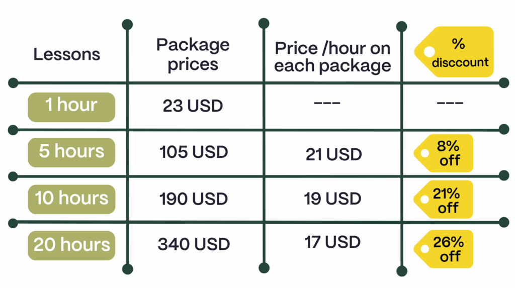 private spanish lessons with professional teachers price