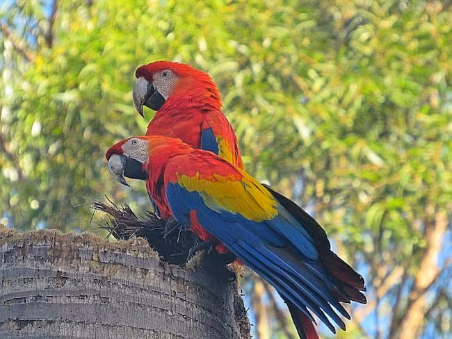 botanical garden medellin