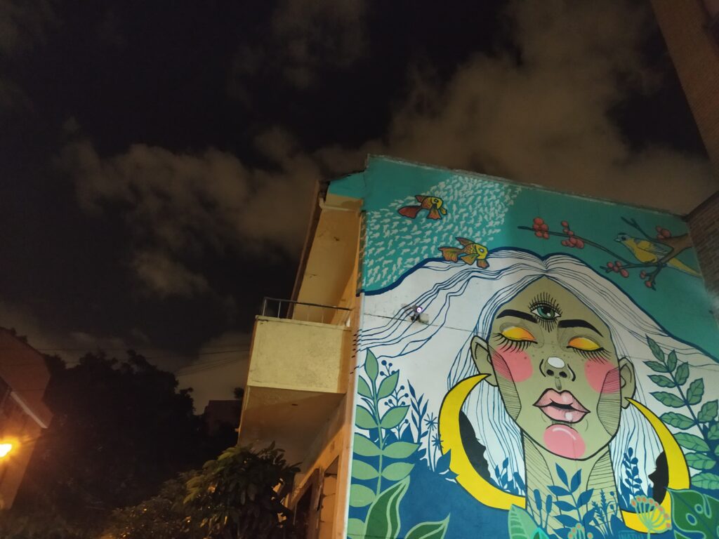 what to do in laureles medellin